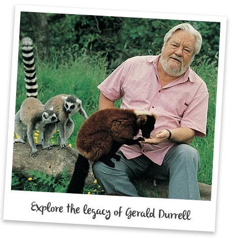 jersey zoo charity shop